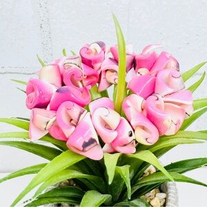 {4 for $20} Handmade Pink Seashell Elastic Bracelet